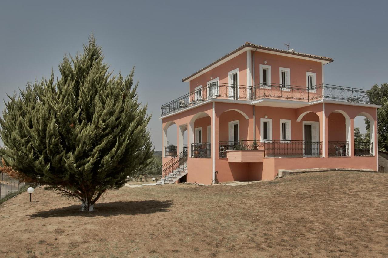 Ancient Olympia By Pcl Villa