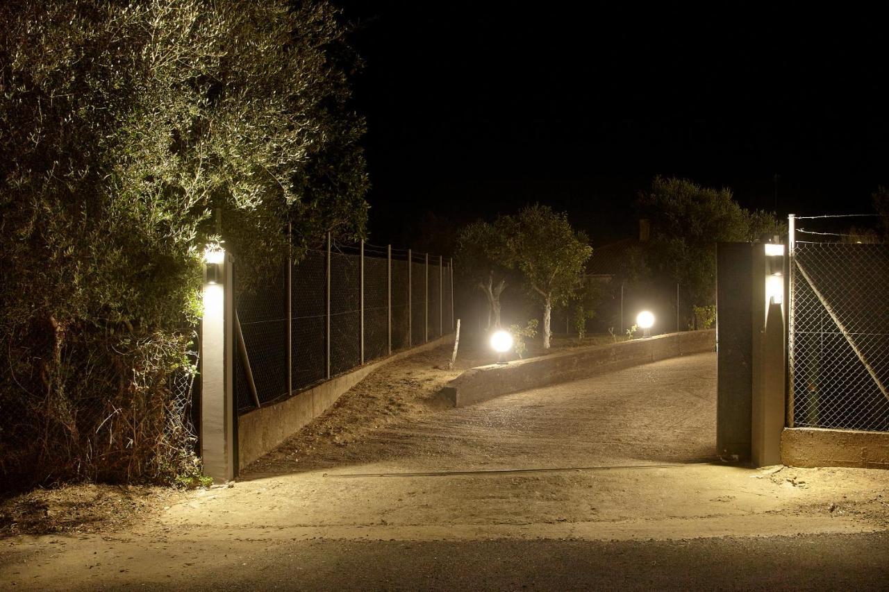 Ancient Olympia By Pcl Villa Pelopio