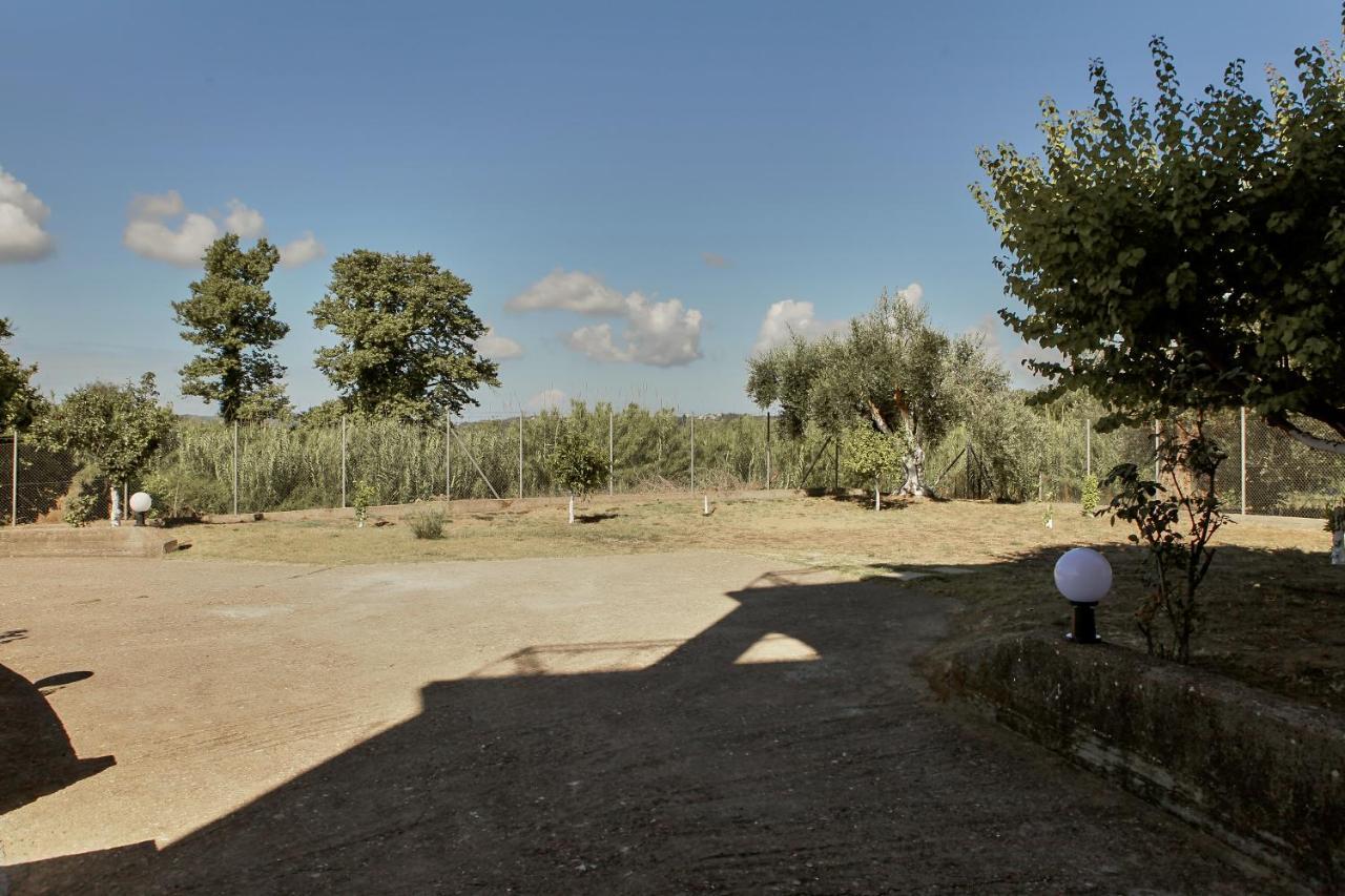 Ancient Olympia By Pcl Villa Pelopio