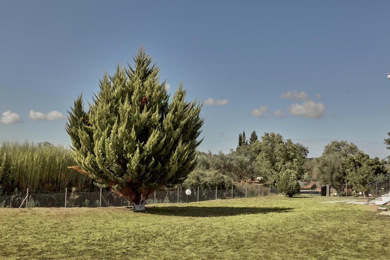 Villa Ancient Olympia By Pcl *