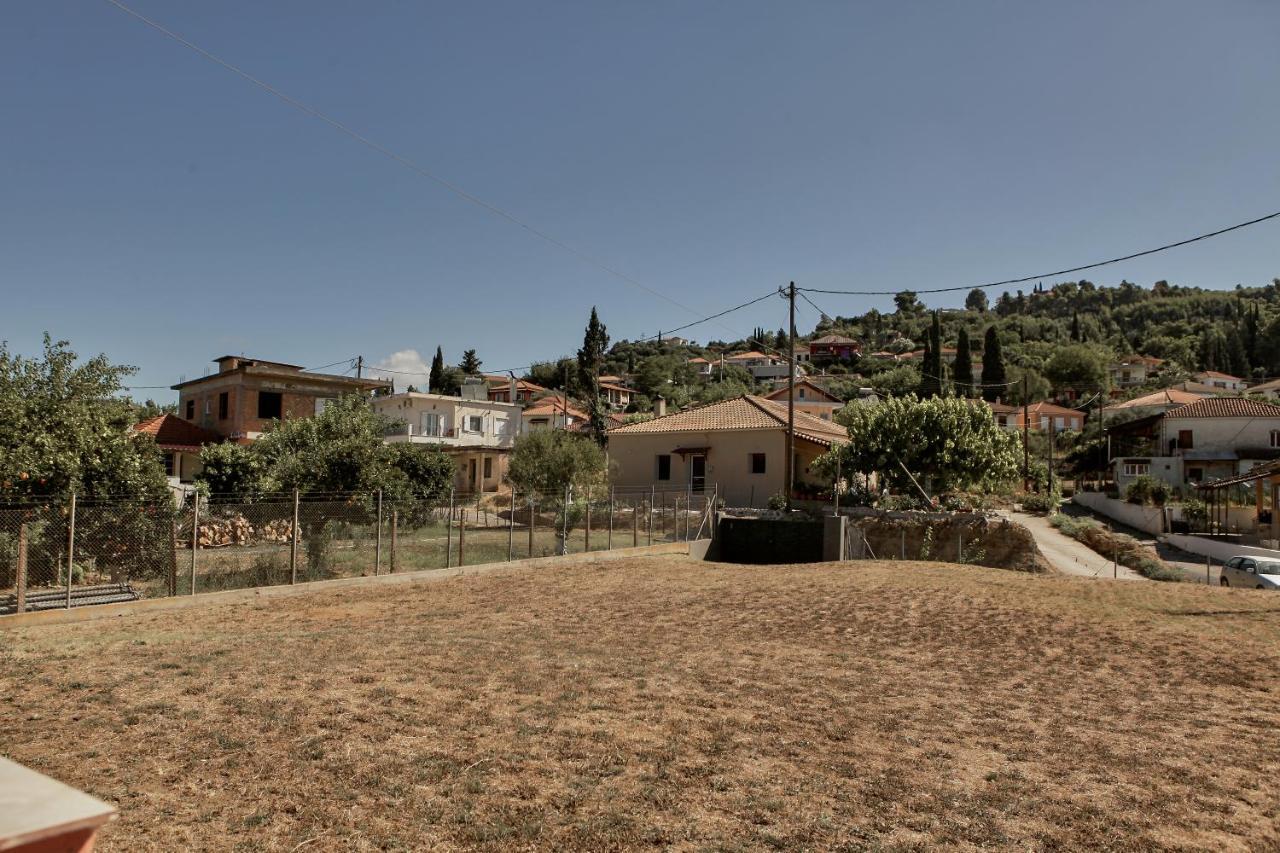 Ancient Olympia By Pcl